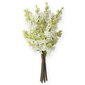 Lilac Bundle with 5 Stems | Cream