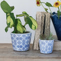 Blue & White Tile pattern Terra-cotta Planter