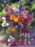 Help Pollinators Kraft Butterfly Pollinator Wildflower Mix