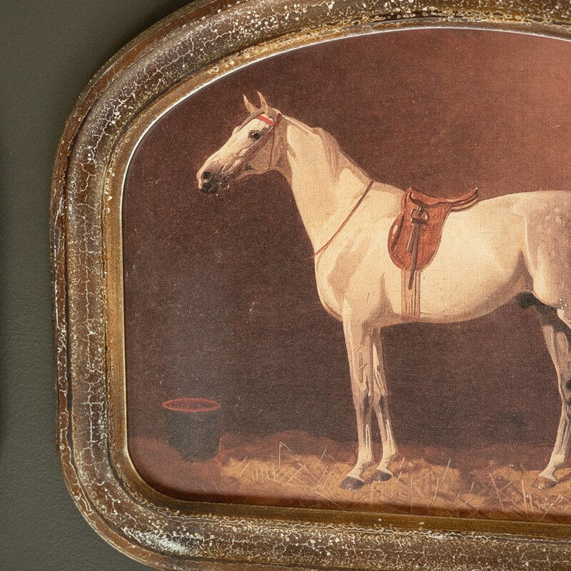 Arched Framed Horse Prints under Glass