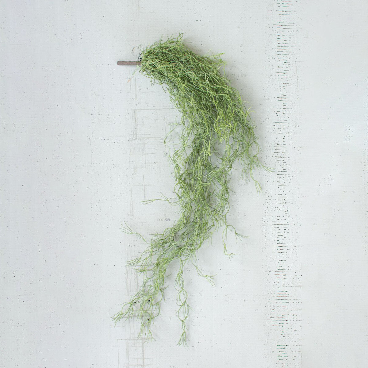 Artificial Green Moss