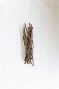 Dried Banana Stems Package of 12