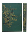 Bound Paper Journal with Cover Designs